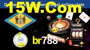 Explore as vantagens do br788: serviço profissional e confiabilidade
